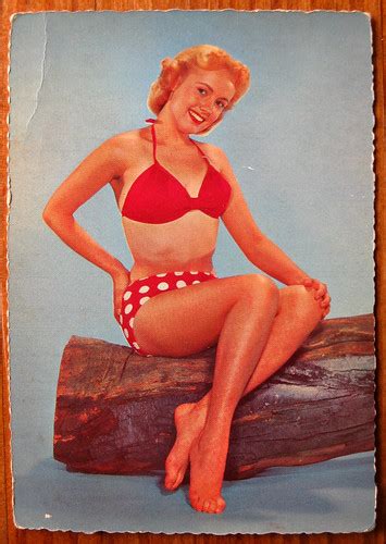 The Missive Maven Vintage Bikini On A Log