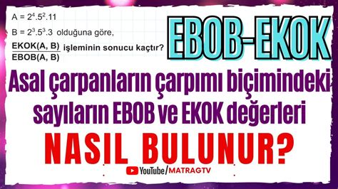 Asal Arpanlar N Arp M Bi Imindeki Say Lar N Ebob Ekok De Erleri