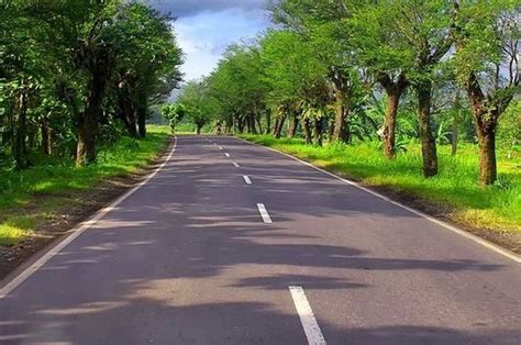 Garis Jalan Putus Putus Warna Putih Tanda Apa Adrian Grant