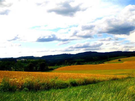 Grassland Background Wallpapersafari