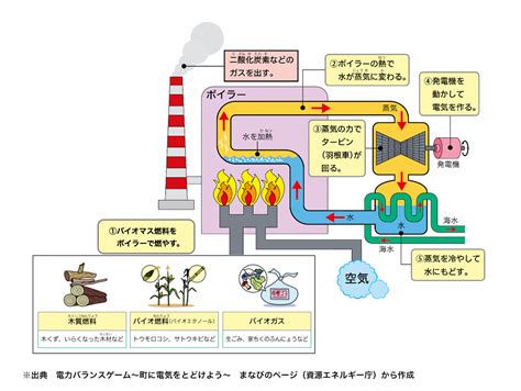 バイオマス発電 統計資料から調べる｜かながわ気候変動web