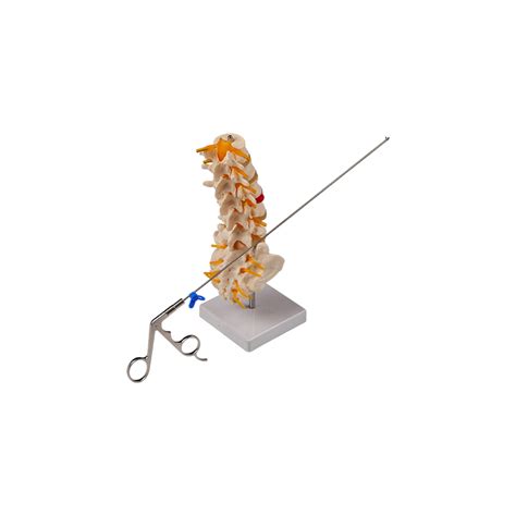 Nucleus Pulposus Forceps Flexible Biopsy Forceps Supplier