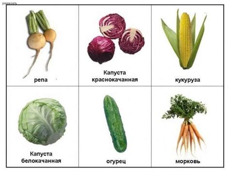 Pin by Nelli Yakushina on Овощи-фрукты | Vegetables, Fruits and ...