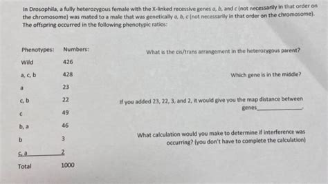 Answered In Drosophila A Fully Heterozygous Bartleby