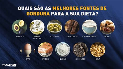 Fonte De Gordura Boa - Boas Fontes De Gordura - FDPLEARN