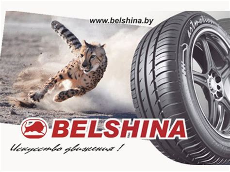 Где в Минске купить шины Белшина, Мишлен и Кордиант?