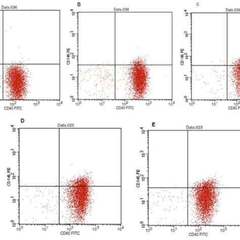 The Result Of Flow Cytometry Of Epc Counted By Cd 133 Dominant Cells