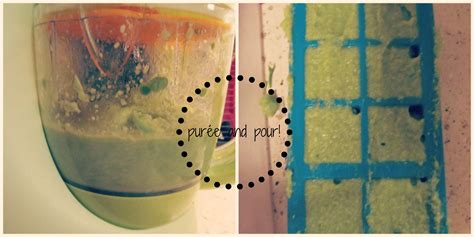 How to Make Homemade Baby Food Purées - Green Oklahoma