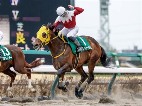 【マーチsレース後コメント】ヴァルツァーシャル斎藤新騎手ら 競馬ニュース Netkeiba