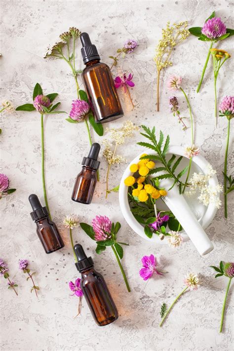Organic Essential Oils, Everything You Need To Know - The Eco Hub