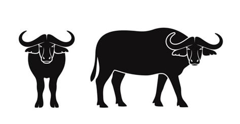 Buffalo Royalty Free Vector Image - VectorStock