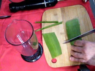 ALOE VERA LUBRIFICANTE ECCEZZIONALE Pornhub Gay