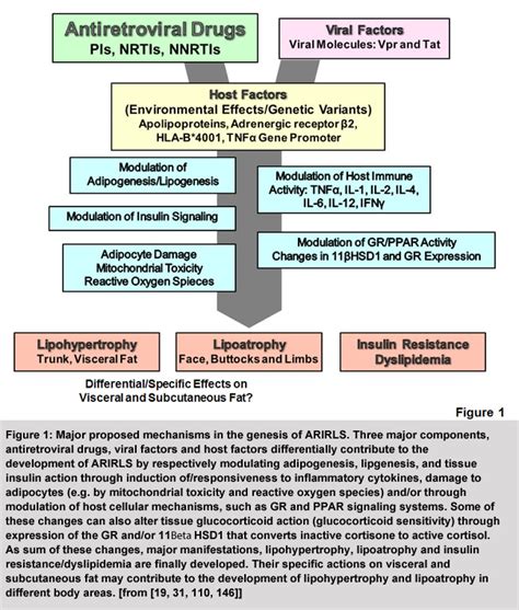 Figure1 Endotext
