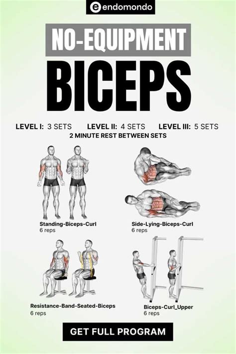 5 No Equipment Workouts For Biceps To Build Muscle - PluseFitGuide