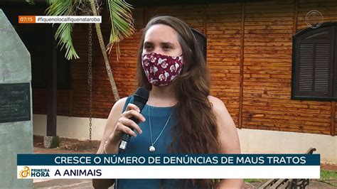 Cresce N Mero De Maus Tratos A Animais Em Londrina Youtube