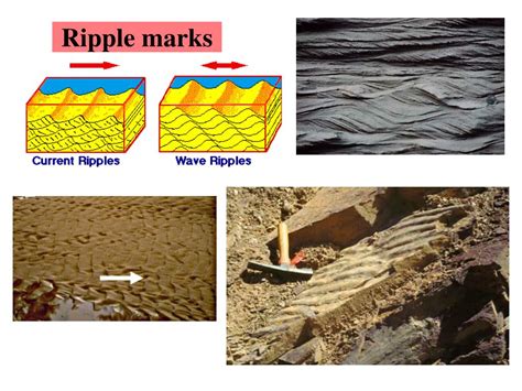 Ppt Sedimentary Rocks Powerpoint Presentation Free Download Id339227