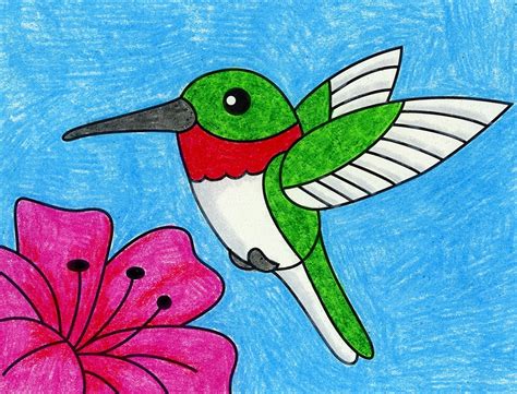 how to draw a hummingbird for kids