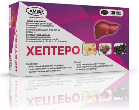 Купить Хептеро № 30 капс Camber в Алматы – Магазин на Kaspi.kz