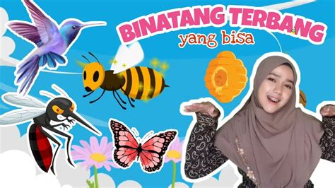 Mengenal Binatang Hidup Di Udara Terbang Materi Tema Binatang Tk