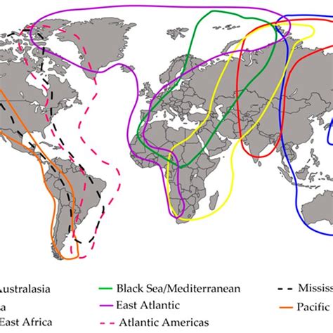 The Migration Routes Flyways Of Migratory Birds All Over The World