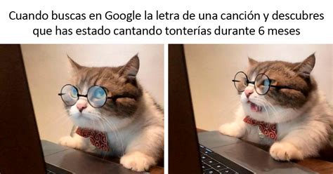 Estos Divertidos 20 Memes De Animales Te Alegrarán El Día Panda Curioso