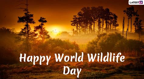 Happy World Wildlife Day 2020 Wishes Whatsapp Stickers  Images