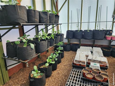 Ginger Spinner Nude OnlyFans Leaks The Fappening Photo 4214719 FappeningBook