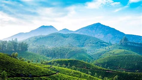 Wayanad Group Packages Travelberry Kerala Kerala Private Tours