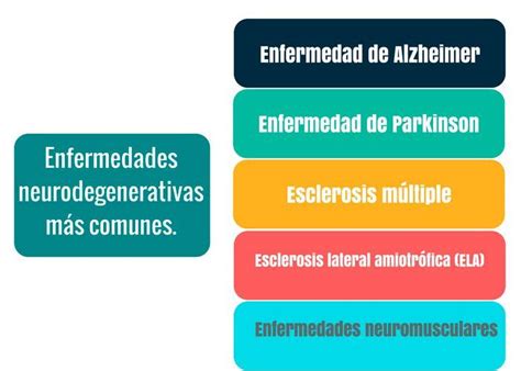 Las Enfermedades Neurodegenerativas Concepto Tipos Y Tratamientos