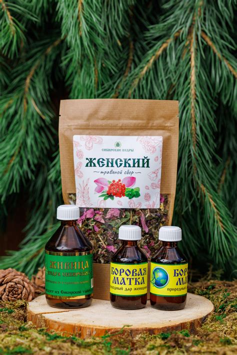 Женский - Сибирские кедры