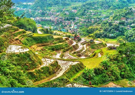 banaue rice terraces northern luzon unesco world heritage