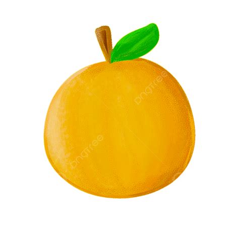 Simple Orange Citrus Fruit Animation, Orange, Fruit, Citrus PNG ...