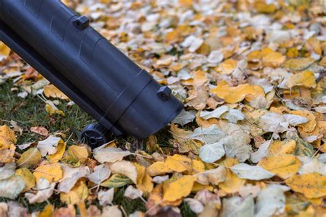 Обработка яблонь осенью от болезней и вредителей: как правильно