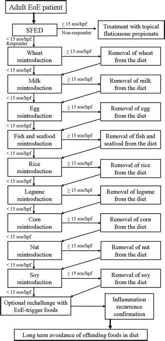 Empiric 6 Food Elimination Diet Induced And Maintained Prolonged Remission In Patients With