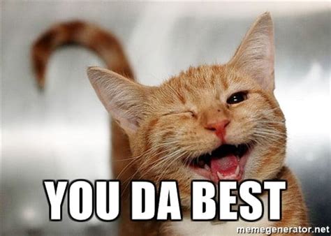 coolest  da  memes sayingimagescom