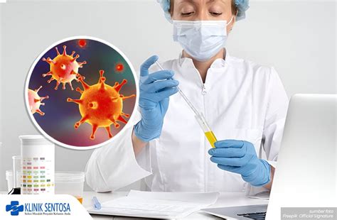 3 Jenis Virus Herpes Yang Menyerang Organ Genital Cek Disini Klinik