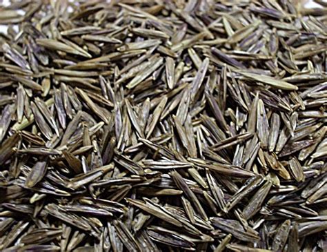 Семена многолетних трав, травосмеси и удобения » Многолетние травы