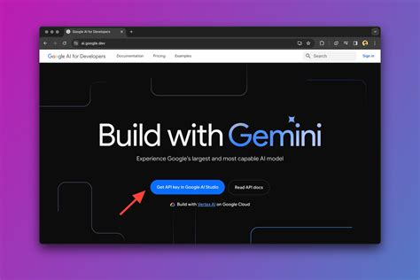 gemini pro  pro vision  google ai studio