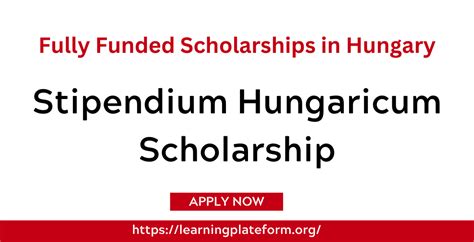 Stipendium Hungaricum Scholarship 2024 Fully Funded