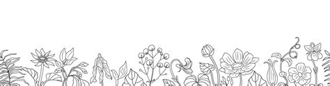 Seamless Border With Spring Flowers Line Drawing 54971314 Vector Art