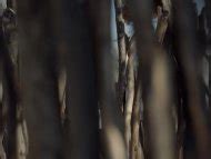 Naked Luisa Arraes In Reza A Lenda