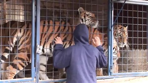 Video Porno Sesso A Tre Gay XHamster