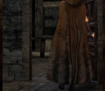 Thief Ezri Don T Get Nevermind Muses Sex And Porn Comics