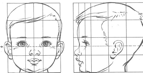 Lista Imagen Proporciones Del Rostro Humano Paso A Paso Mirada Tensa