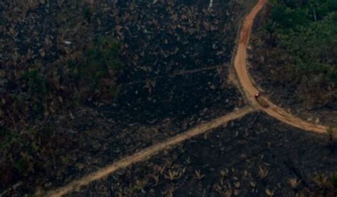 Amazonía Brasileña Sufrió Uno Los Mayores Incendios En Más De Una