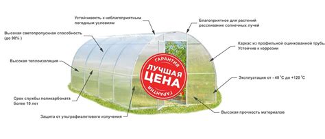 Теплицы из поликарбоната в СПБ| купить дешево от производителя в Санкт ...