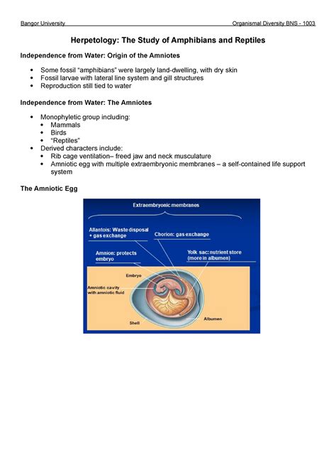 Herpetology Lecture Notes 3 Herpetology The Study Of Amphibians