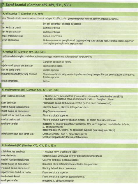 Skema Myotome Artikel Fisioterapi
