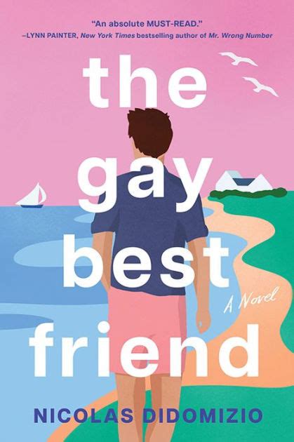 The Gay Best Friend By Nicolas DiDomizio Paperback Barnes Noble