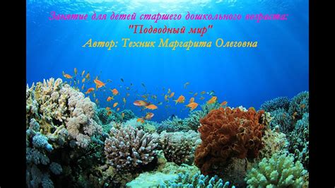 Подводный мир-занятие для детей старшего дошкольного возраста - YouTube
